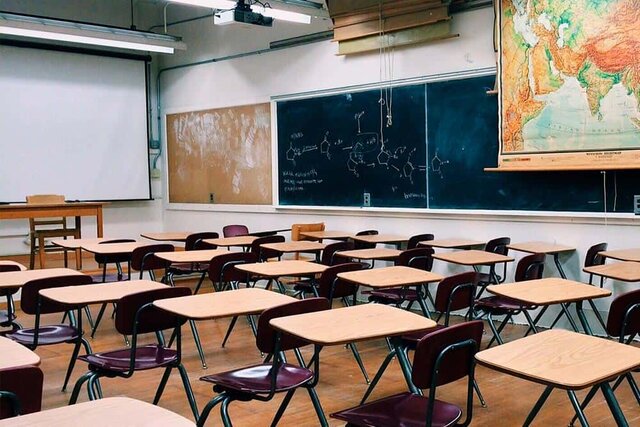 TERMINO PRIMARIA 1995