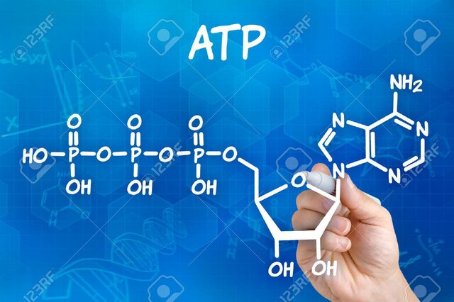 ATP