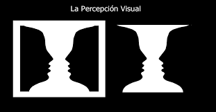 Principios de percepcion visual y auditiva