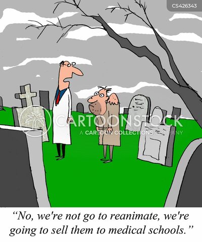 Niels Henrik David Bohr End