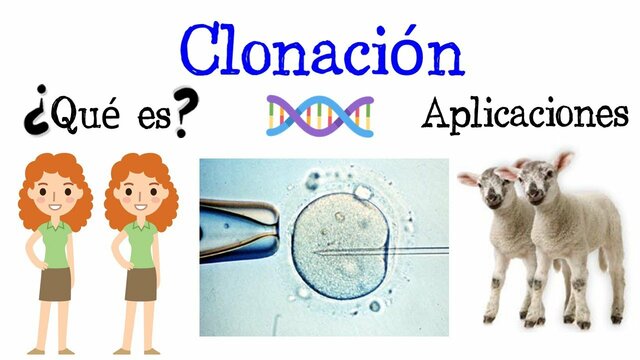 CLONACIÓN