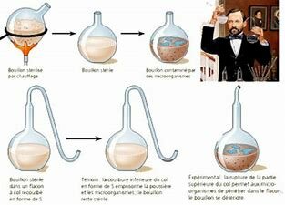 Louis Pasteur y matraces de vidrio