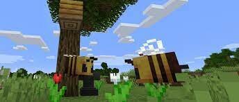 Septima actualización