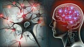 Timeline: Desde los orígenes al presente: las neurociencias de la conducta, un viaje que no se detiene.