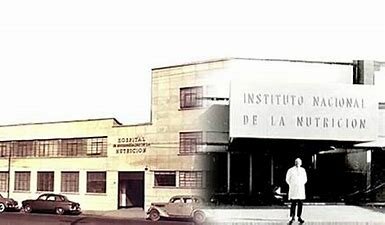 Enseñanza formal de nutrición