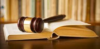 Dictamen correspondiente al art. 16