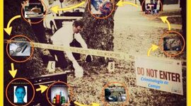Timeline: criminología de campo
