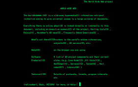 ¨The world wide web project¨.