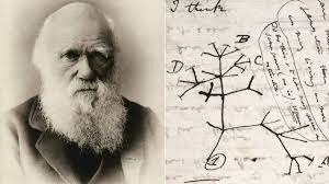 Charles Darwin (1809-1882)