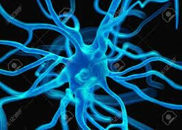 Santiago Ramón y Cajal (1852-1934)