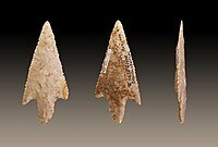 Edad de Piedra (2,500,000 - 3,000 A.C.)