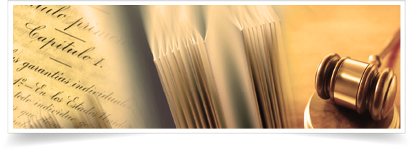 Creación del Marco Normativo e Institucional