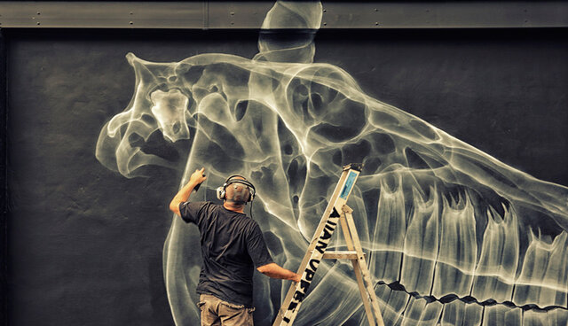 descubrimiento de los rayos X