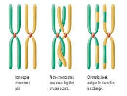 Last Book is Published