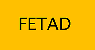 ESTRUCTURA LA FETAD