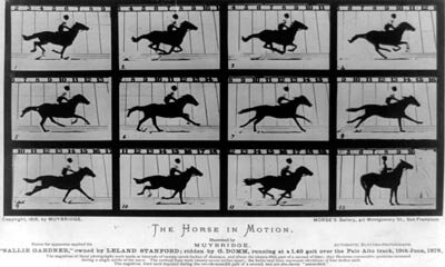 Primera colección de fotografías