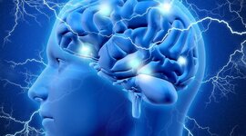 Timeline: Desde los orígenes al presente: las neurociencias de la conducta, un viaje que no se detiene