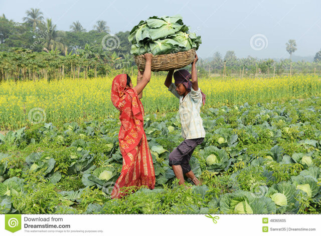 Según Prasad (INDIA)