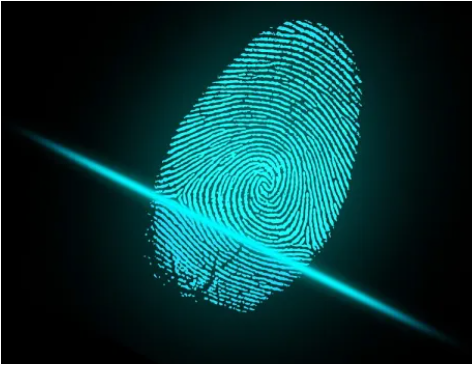 SISTEMA DACTILOSCOPIA