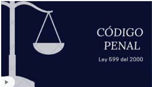 LEY 599
