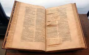 Traslation of "Lobo"