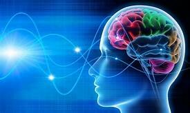 ACTUALIDAD NEUROCIENCIAS Y PSICOLOGÍA EDUCATIVA