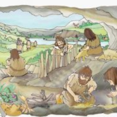 Timeline: Etapas de la alimentación