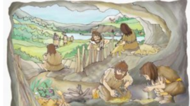 Timeline: Etapas de la alimentación