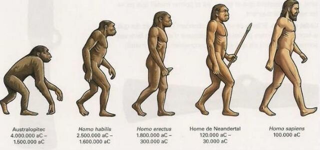 La alimentación con base en frutas, verduras, raíces y semillas.