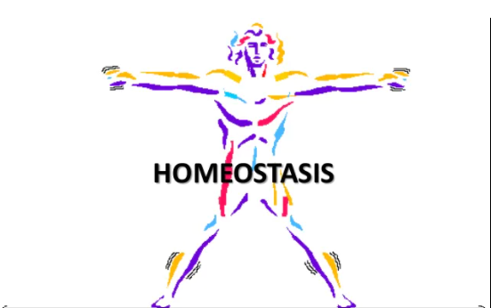 HOMEOSTASIS
