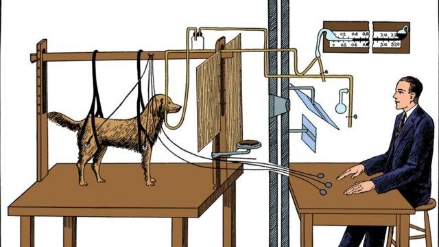Iván Pávlov, experimento de ¨Perro, comida y salivación