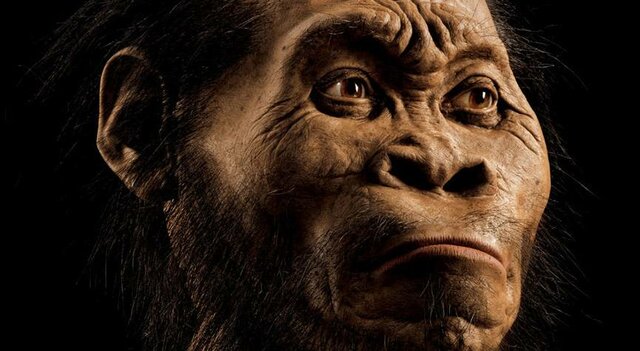 HOMINIDOS