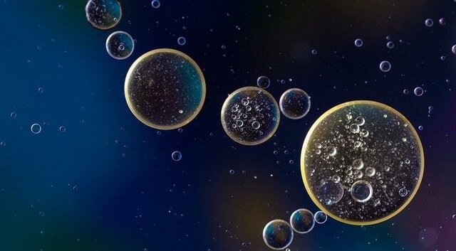 Teoría Endosimbiótica Seriada