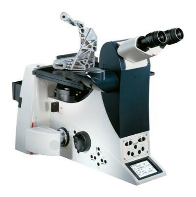 Luz en el microscopio