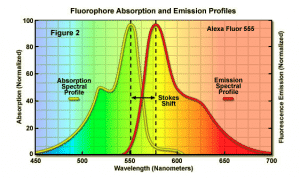Fenómenos de luminiscencia
