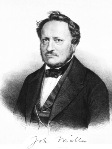 Johannes Peter Muller. (1801-1858)