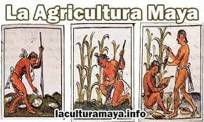 Cultura maya