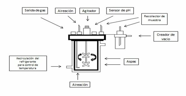 Biorreactor de tanque agitado