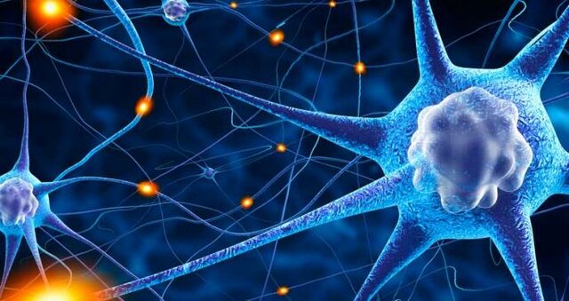 El surgimiento del sistema nervioso