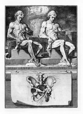 Investigaciones de Crisostomo Martinez y Leeuwenhoek