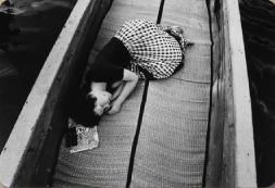 Nabuyoshi Araki publica "Sentimental Journey".