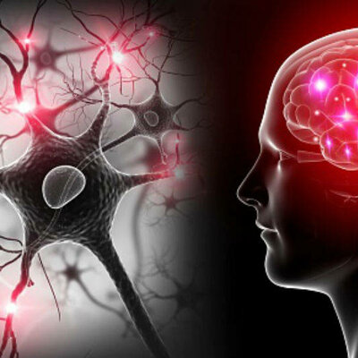Timeline: Hitos históricos en la evolución de la neurociencia