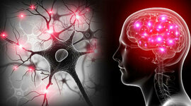 Timeline: Hitos históricos en la evolución de la neurociencia