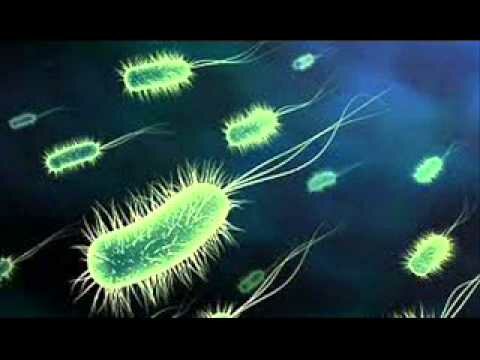 TEORÍA DE LA INFECCIÓN FOCAL Y LOCALIZACIÓN ELECTIVA