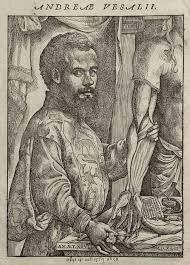 Andrea Vesalius