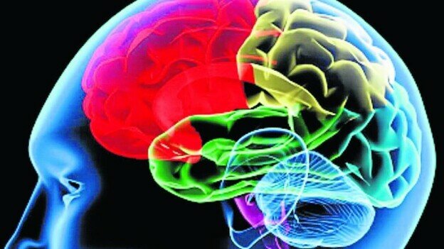 Neurociencia cognitiva