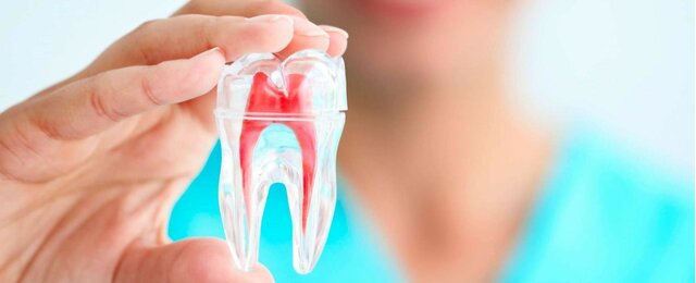 TÉRMINO "ENDODONCIA" Y SU RECONOCIMEINTO COMO ESPECIALIDAD