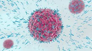 Conocimientos de la Inmunología.