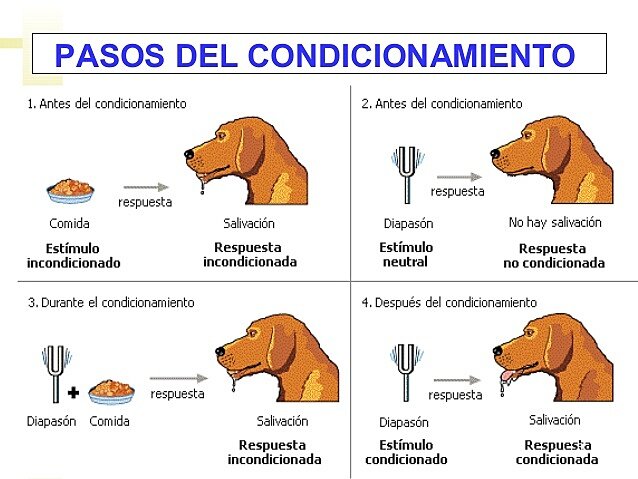 Condicionamiento clásico: Iván Pávlov