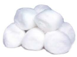 The Western Dental Society